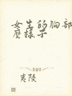 女生的胸部长什么样子