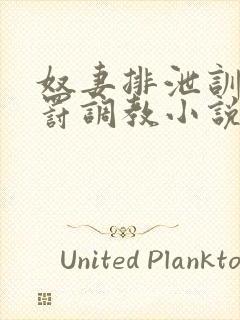 奴妻排泄训诫惩罚调教小说