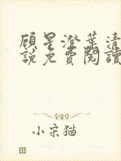 顾星澄叶清月小说免费阅读最新章节