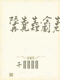 陆先生,余生不再见短剧免费观看