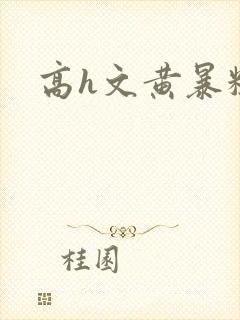 高h文黄暴粗口