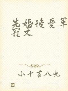 先婚后爱军婚甜宠文封面