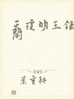 天琼明玉录笔趣阁