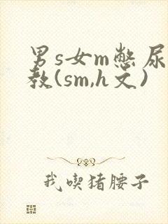 男s女m憋尿调教(sm,h文)封面