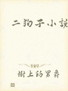 二狗子小说封面