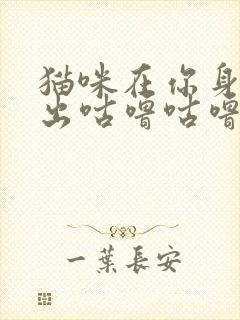 猫咪在你身边发出咕噜咕噜的声音