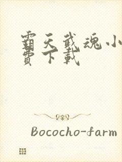 霸天武魂小说免费下载