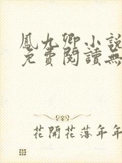 凤九卿小说全文免费阅读无弹窗