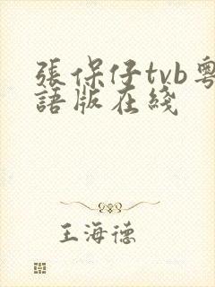 张保仔tvb粤语版在线