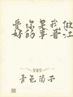 爱你是我做过最好的事晋江