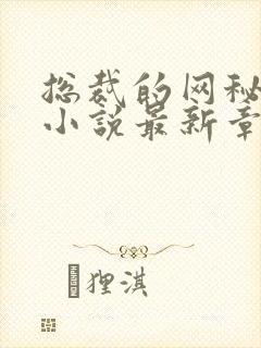 总裁的网秘情人小说最新章节阅读全文封面