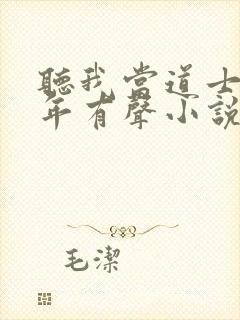 听我当道士那些年有声小说