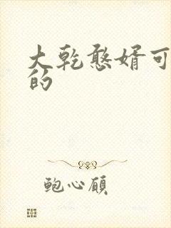 大乾憨婿可以听的