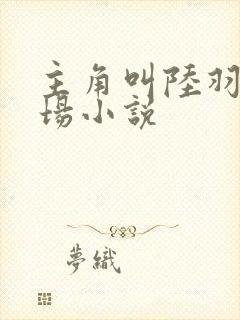 主角叫陆羽的官场小说封面