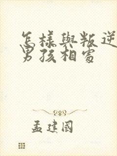 怎样与叛逆期的男孩相处封面