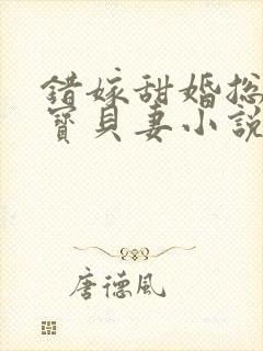 错嫁甜婚总裁的宝贝妻小说完整版