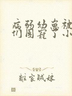 病弱幼崽被反派们团宠了小说