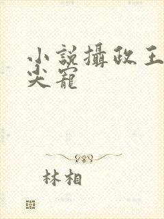 小说摄政王的心尖宠