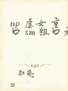 np 虐女 重口 sm 粗口文