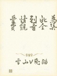 爱情到此为止免费观看全集完整版