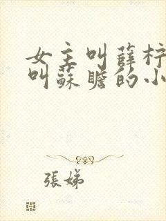 女主叫薛柠男主叫苏瞻的小说