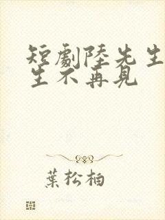 短剧陆先生,余生不再见