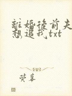 离婚后前夫总是想追我txt封面