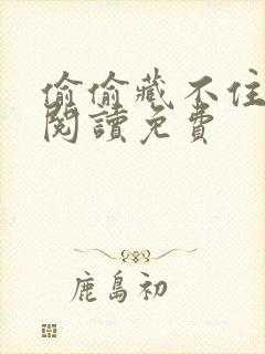 偷偷藏不住在线阅读免费