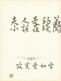 夫人走的第三年小说在线阅读全文