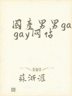 国产男男gay gay网站