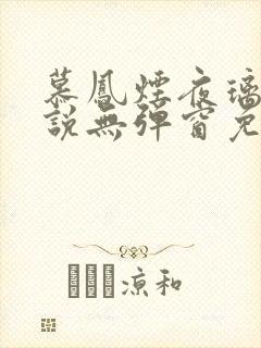 慕凤烟夜璃玦小说无弹窗免费阅读