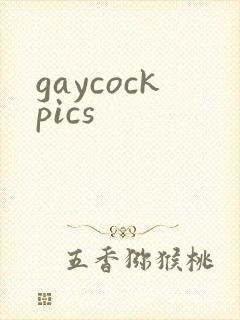 gaycockpics