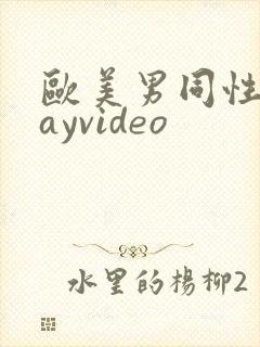 欧美男同性恋gayvideo