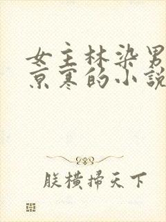 女主林染男主沈京寒的小说