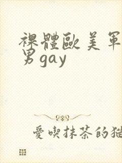 裸体欧美军警猛男gay封面