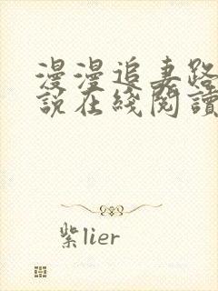 漫漫追妻路 小说在线阅读