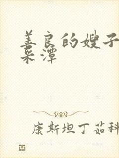 善良的嫂子2李采潭