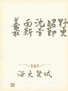 姜南沈昭野楚茜最新章节更新内容