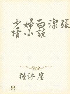 少妇白洁张敏孙倩小说封面