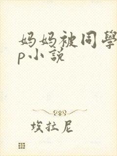 妈妈被同学玩三p小说封面