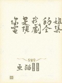 你是我的姐妹 电视剧全集免费观看