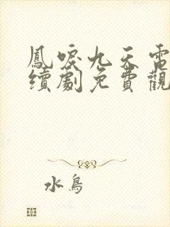 凤唳九天电视连续剧免费观看