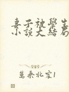 妻子被学生夺走小说大结局