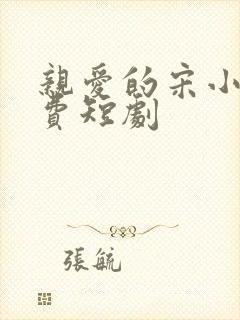 亲爱的宋小姐免费短剧