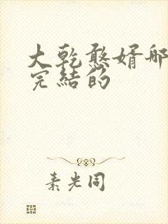 大乾憨婿哪里有完结的封面