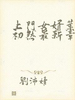 上门女婿叶辰萧初然最新章节免费阅读