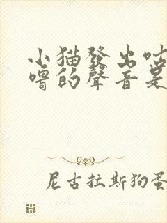 小猫发出咕噜咕噜的声音是怎么回事封面