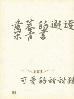 黄蓉的邂逅小说宋青书封面