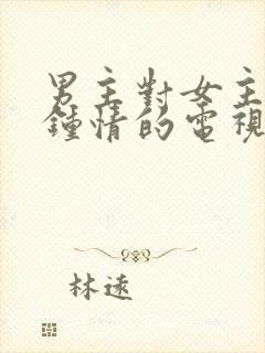 男主对女主一见钟情的电视剧封面