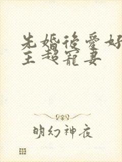 先婚后爱好甜男主超宠妻